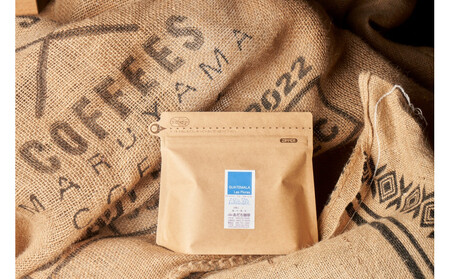 【大川市あだち珈琲】中米2種セット 150g×2（粉）