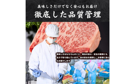 博多和牛 切り落とし 1kg ( 500g×2パック )