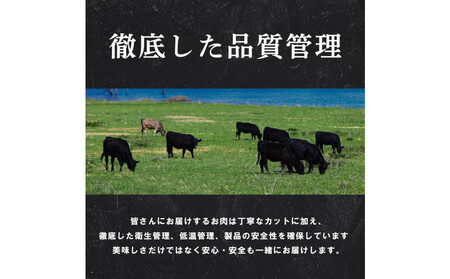 厚切り牛タン プルコギ漬け 1.2kg  ( 400g×3パック )