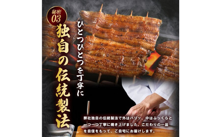 うなぎ蒲焼(国産鰻 200g×2尾)