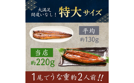 うなぎ蒲焼（中国産鰻 222g×3尾）