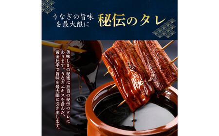 うなぎ蒲焼（中国産鰻 222g×3尾）