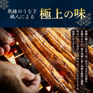 うなぎ蒲焼（中国産222g×4尾）