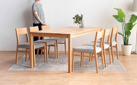 DT01 DC01 7点 180 ダイニングセット ビーチクリア アネルカグレー テーブル 椅子