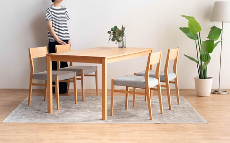 DT01 DC01 5点 150 ダイニングセット ビーチクリア アネルカグレー テーブル 椅子