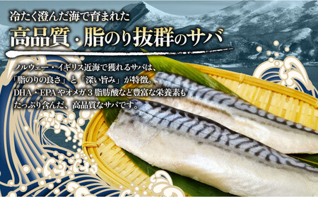 昆布だし塩サバ 2kg