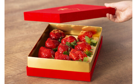 VIPボックス赤[5Lサイズ450g] 　最高級完熟あまおうギフト