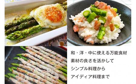 【朝採り直送】春芽アスパラガス 1kg (L-Mサイズ) 福岡県産 2026年