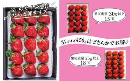 【2025年1月～4月納品分予約販売】★福岡の産直いちご農家★武下さんちの「完熟あまおう」3Lサイズ 450g