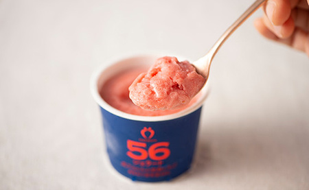 武下さんちのあまおうジェラート56％ 12カップギフト 濃厚なのに後味さっぱり！ ご家族5，6名様向け