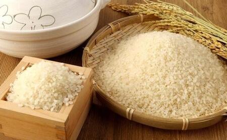 2025年秋収穫分 福岡県大川市産ヒノヒカリ 4kg