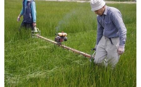 い草玄関マット DX涼風 グリーン 60×90