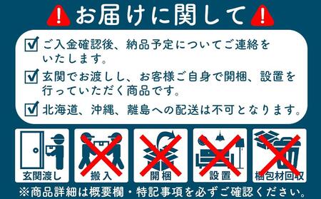 い草玄関マット DX涼風 グリーン 60×90