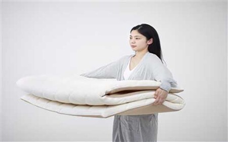 リテリーエクストラクリーン マットレス 60 セミダブル SD