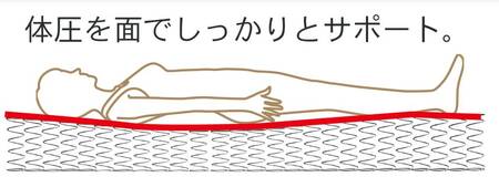 セミダブルサイズ 国産ボンネルコイルマットレス グランジーナ【ブラック】