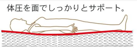 ダブルサイズ 国産ボンネルコイルマットレス グランジーナ【ブラック】