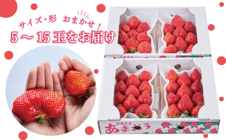 【2026年2月1日~4月30日までに発送!】有機肥料にこだわったたっちゃん家の完熟あまおう(270g×4パック)【配送不可地域:北海道・沖縄・離島】