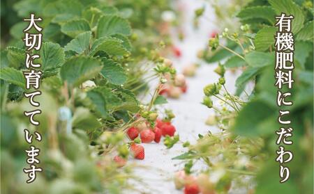 【2026年2月1日~4月30日までに発送!】有機肥料にこだわったたっちゃん家の完熟あまおう(270g×4パック)【配送不可地域:北海道・沖縄・離島】