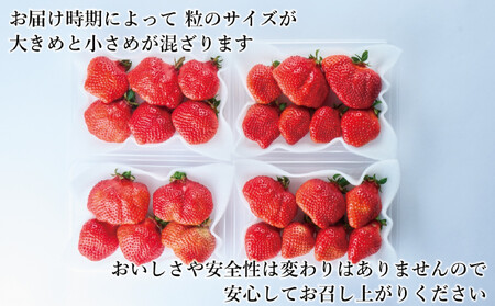 【2026年2月1日~4月30日までに発送!】有機肥料にこだわったたっちゃん家の完熟あまおう(270g×4パック)【配送不可地域:北海道・沖縄・離島】