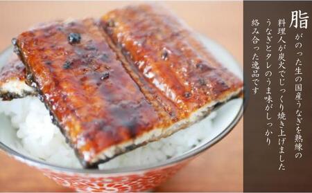 元祖 本吉屋 大川店 老舗のうなぎ蒲焼き 2尾