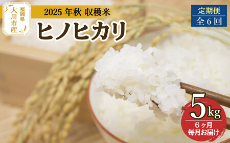全6回定期便 福岡県大川市産ヒノヒカリ(2025年秋収穫のお米)5kg×6回