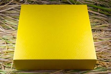 2025年秋収穫分 福岡県大川市産ヒノヒカリ キューブデザイン 9個入り【ギフト包装】