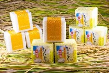 2025年秋収穫分 福岡県大川市産ヒノヒカリ キューブデザイン 9個入り【ギフト包装】