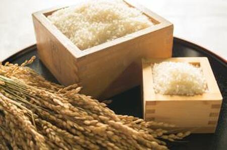 2025年秋収穫分 福岡県大川市産ヒノヒカリ 3kg【ギフト包装】