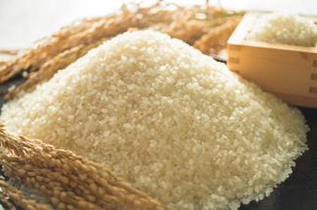 2025年秋収穫分 福岡県大川市産ヒノヒカリ 5kg【ギフト包装】