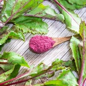 福岡県大川市産 ビーツ 100% パウダー (100g) 粉末 サプリメント