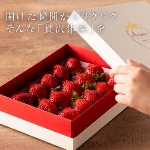 【2026年1月～4月出荷分予約販売】武下さんちの「完熟あまおう」 3Lサイズ 450g  白いVIPボックスに入れて！