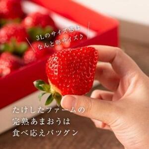 【2026年1月～4月出荷分予約販売】武下さんちの「完熟あまおう」 3Lサイズ 450g  白いVIPボックスに入れて！