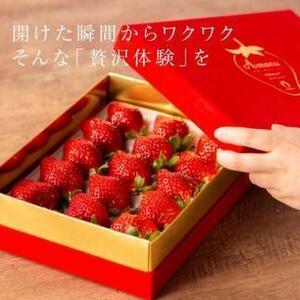 【2026年1月~4月出荷分予約販売】武下さんちの「完熟あまおう」 3Lサイズ 450g 赤いVIPボックスに入れて!