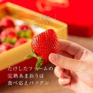 【2026年1月~4月出荷分予約販売】武下さんちの「完熟あまおう」 3Lサイズ 450g 赤いVIPボックスに入れて!