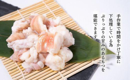 【老舗人気店】博多本格もつ鍋セット 2～3人前