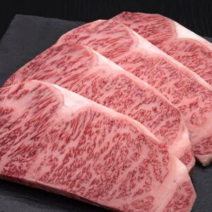 【A5～4等級】博多和牛サーロインステーキ 4枚