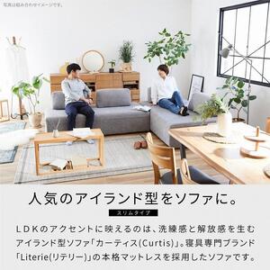 ソファスリム 完成品 幅170 カーティス ソファスリム ＜ライトグレー＞【モーブル／大川家具】