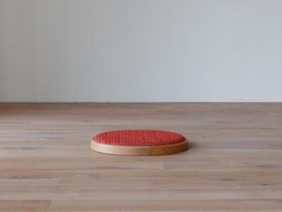 AGILE Zagu アムステルダム