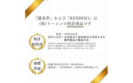 い草玄関マット DXリーフ ベージュ 67×120