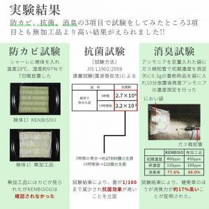 い草玄関マット　DXリーフ　67×90　ベージュ