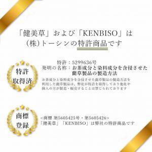 い草玄関マット DXレスパル ブルー 67×120