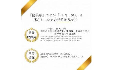 い草玄関マット DXレスパル グリーン 67×120