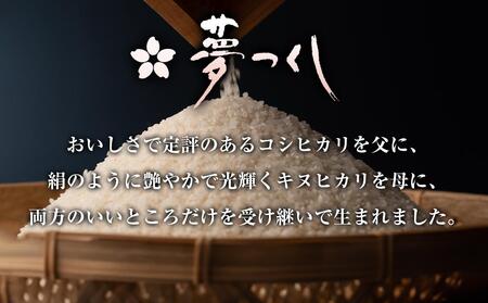 金のめし丸」県産米 めし丸 夢つくし 5㎏ （令和6年産 福岡県