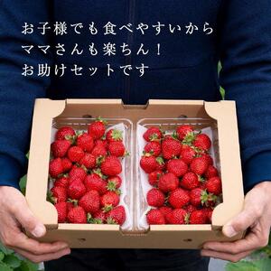 【2026年1月~4月出荷分予約販売】★たっぷり1000g!★ミニサイズの「完熟あまおう」セット