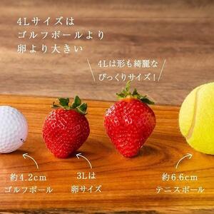 【2026年1月~4月出荷分予約販売】★希少4Lサイズ 450g ★赤のVIPボックスに入った宝石のような「完熟あまおう」!