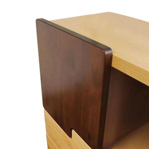 リビングチェスト　50 LOWタイプ オスロ　天然木　魅せる収納