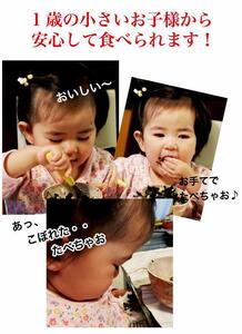 福岡県産有明のり 海苔のふりかけ 10袋