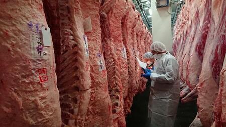 (全10回定期便)【A5~4等級】博多和牛ヒレシャトーブリアンステーキ(ダイヤモンドカット)