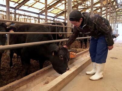 (全5回定期便)【A5~4等級】博多和牛厚切りヒレステーキ