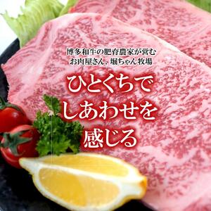 福岡県産 黒毛和牛A4ランク以上の博多和牛! 焼肉詰め合わせ450g&特選スライス300gセット